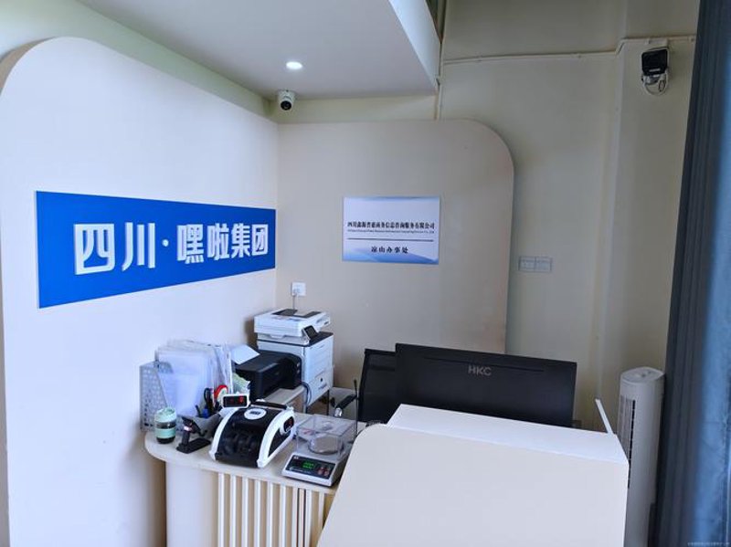 系统集成